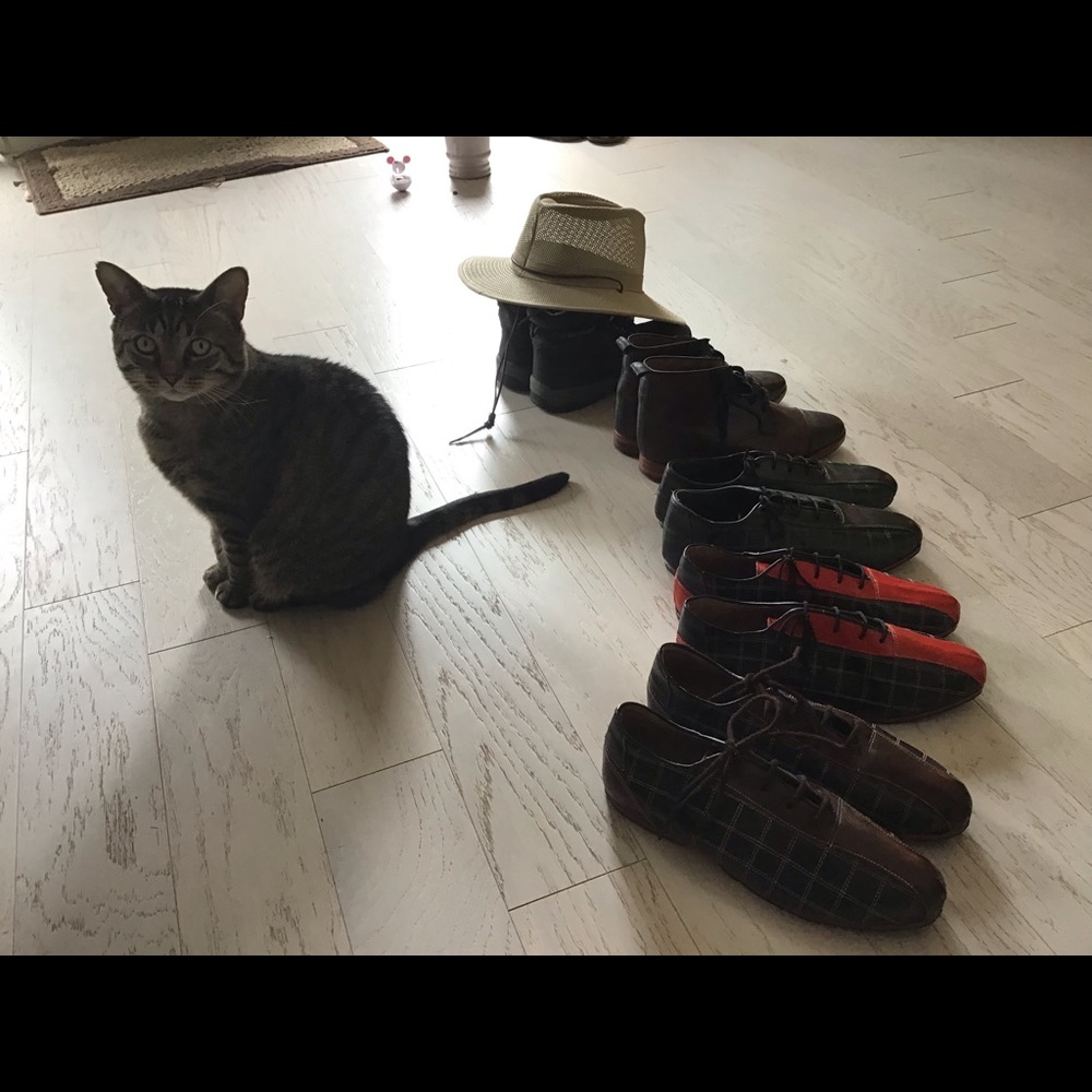 Shoes